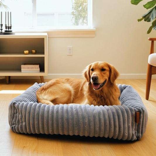 Beds & Comfort 🛏️